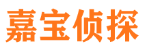 晋安市侦探公司